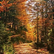 Схема вышивки «№736527»