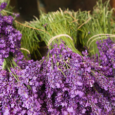 Схема вышивки «Лаванда»