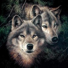 Схема вышивки «волки»