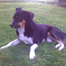 Схема вышивки «Robi»