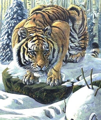 №737069 - оригинал