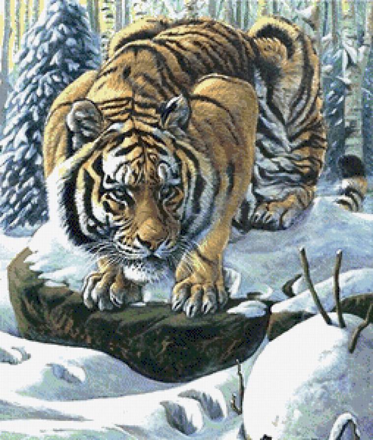 №737069 - предпросмотр