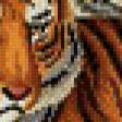 Предпросмотр схемы вышивки «Тигры» (№737099)