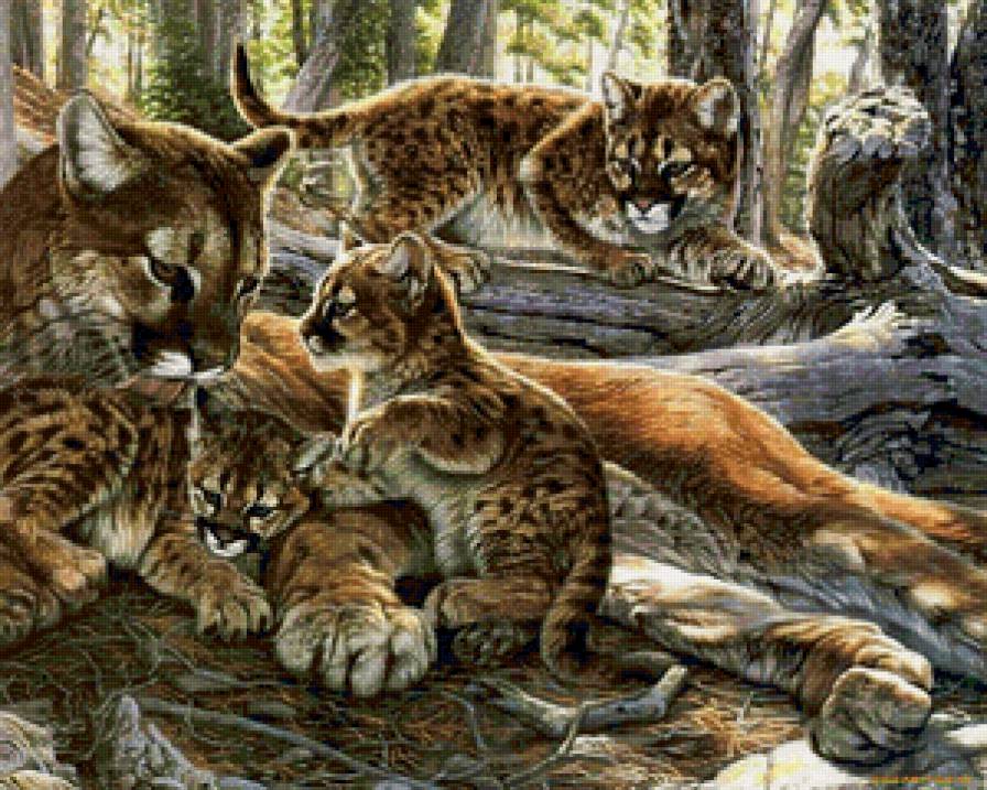 Мама с детками - животные, кошки - предпросмотр