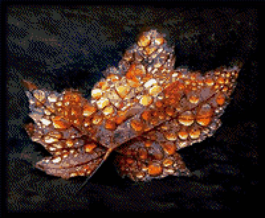 лист - лист, осень - предпросмотр