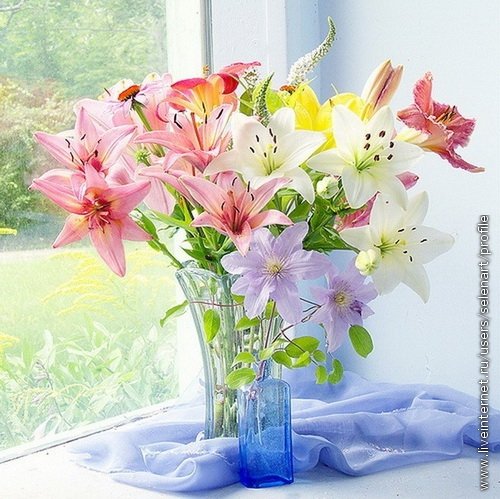 Букет лилий - цветы - оригинал