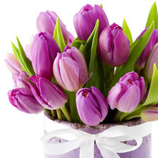 Схема вышивки «букет тюльпанов»