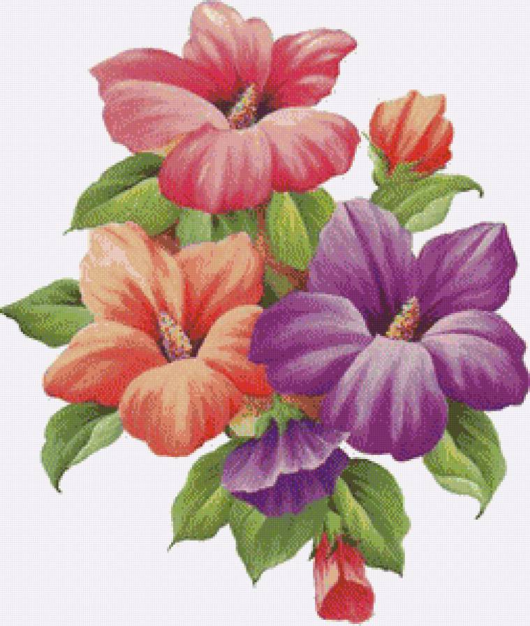 серия "гибискус" - цветы.гибискус - предпросмотр