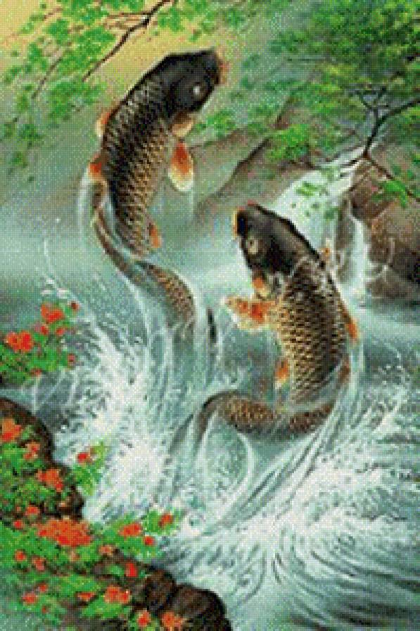 карпы - предпросмотр