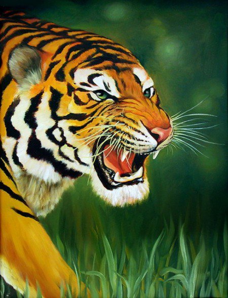 тигруля - тигр, животные - оригинал