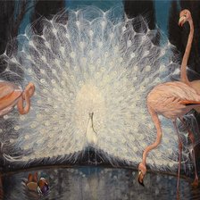 Схема вышивки «Павлин»