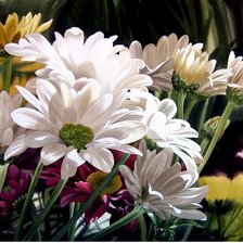 Схема вышивки «цветы»