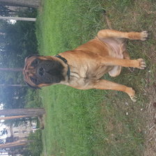 Схема вышивки «GVG Viking»