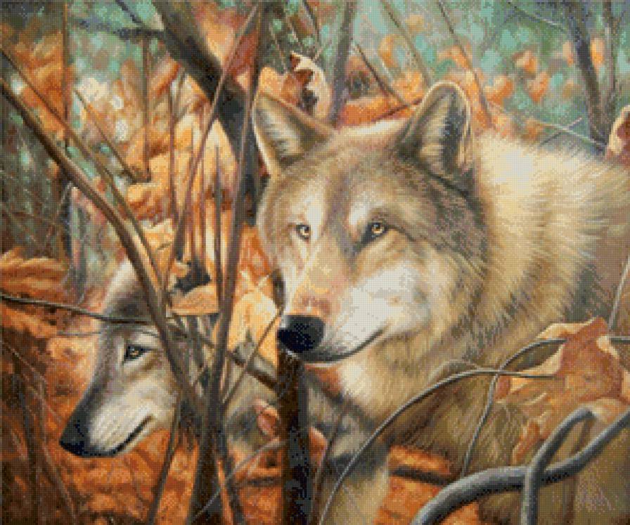 волки - дикие животные, волк - предпросмотр