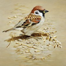 Схема вышивки «Воробушек»