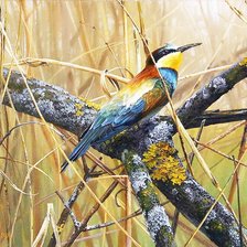 Схема вышивки «Птичка_1»