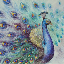 Схема вышивки «павлин»