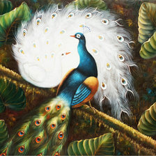 Схема вышивки «Павлин»