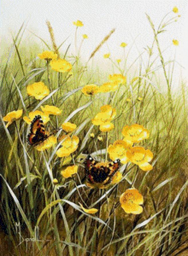 Лето_2 - цветы, бабочки, лето, поле - предпросмотр