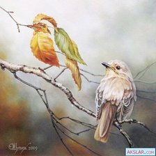 Схема вышивки «Птичка_3»