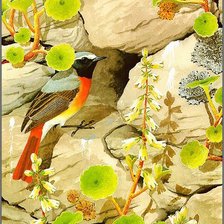 Схема вышивки «Птичка_6»