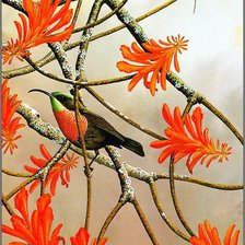 Схема вышивки «Птичка_7»