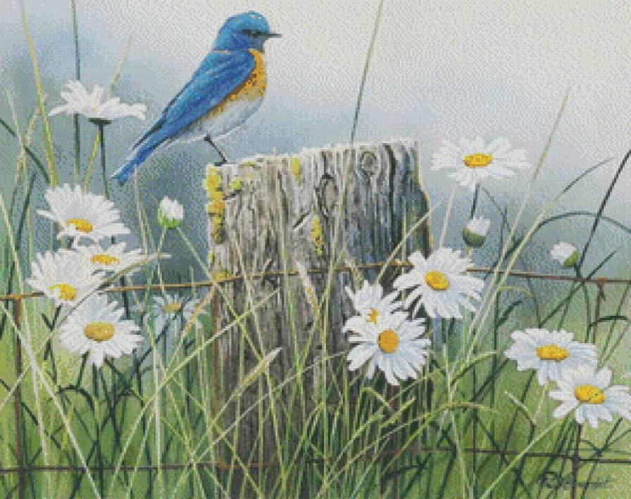 Птичка_8 - поле, цветы, птицы - предпросмотр