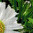 Предпросмотр схемы вышивки «Ромашки» (№738086)