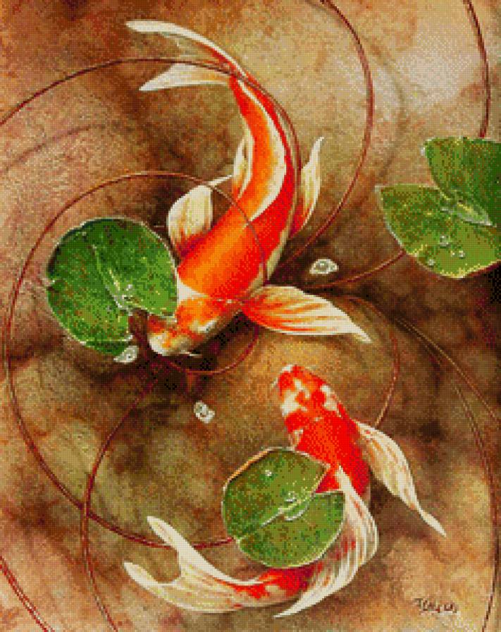 Карпы Кои - рыбы, карпы кои - предпросмотр