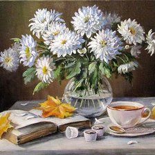 натюрморт с белыми астрами