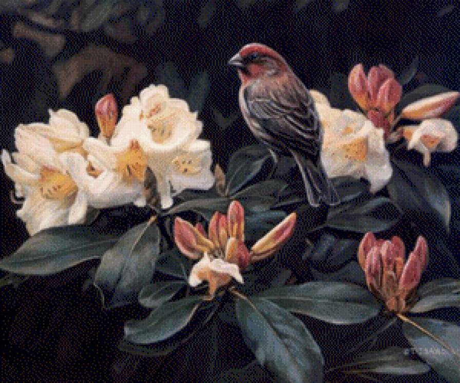 птичка - животные, птицы - предпросмотр