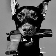 Схема вышивки «пёс»