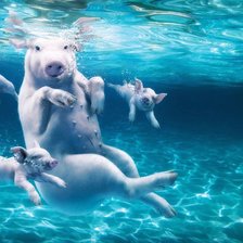 Схема вышивки «№738251»