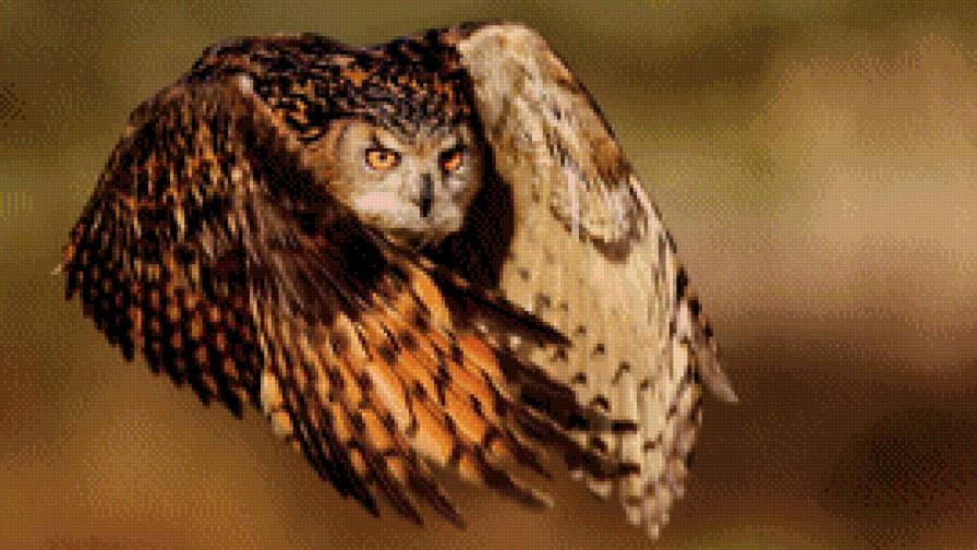 №738255 - предпросмотр