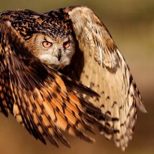 Схема вышивки «№738255»