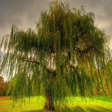 Схема вышивки «№738259»