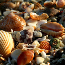 Схема вышивки «№738262»