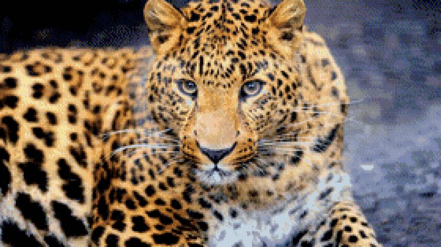 №738270 - предпросмотр