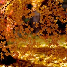 Схема вышивки «№738273»