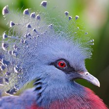 Схема вышивки «№738281»