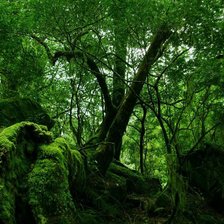 Схема вышивки «№738284»