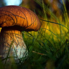 Схема вышивки «№738287»