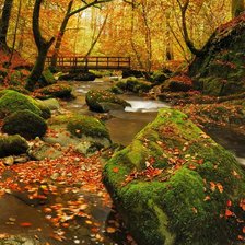 Схема вышивки «№738290»