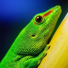 Схема вышивки «№738294»