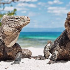 Схема вышивки «№738297»