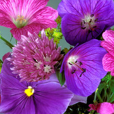 Схема вышивки «№738309»