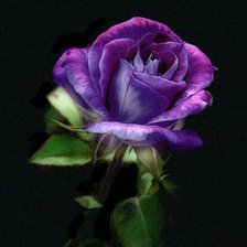 Схема вышивки «№738323»