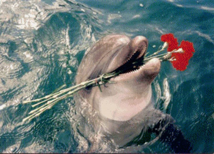 №738325 - предпросмотр