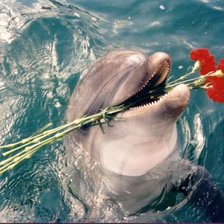 Схема вышивки «№738325»