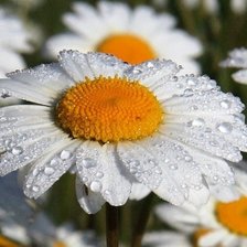 Схема вышивки «№738339»